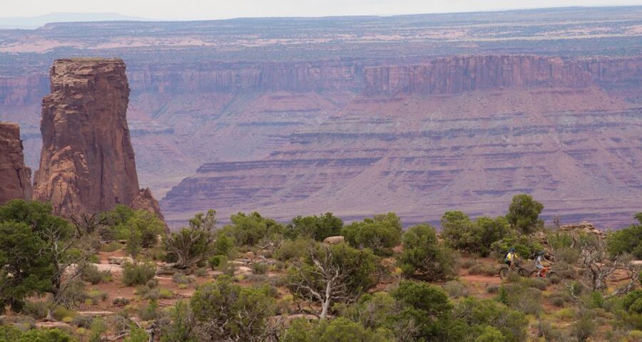 Moab: Dead Horse Point Singletrack Mountain Biking Tour - The half-day Intrepid Trail ride