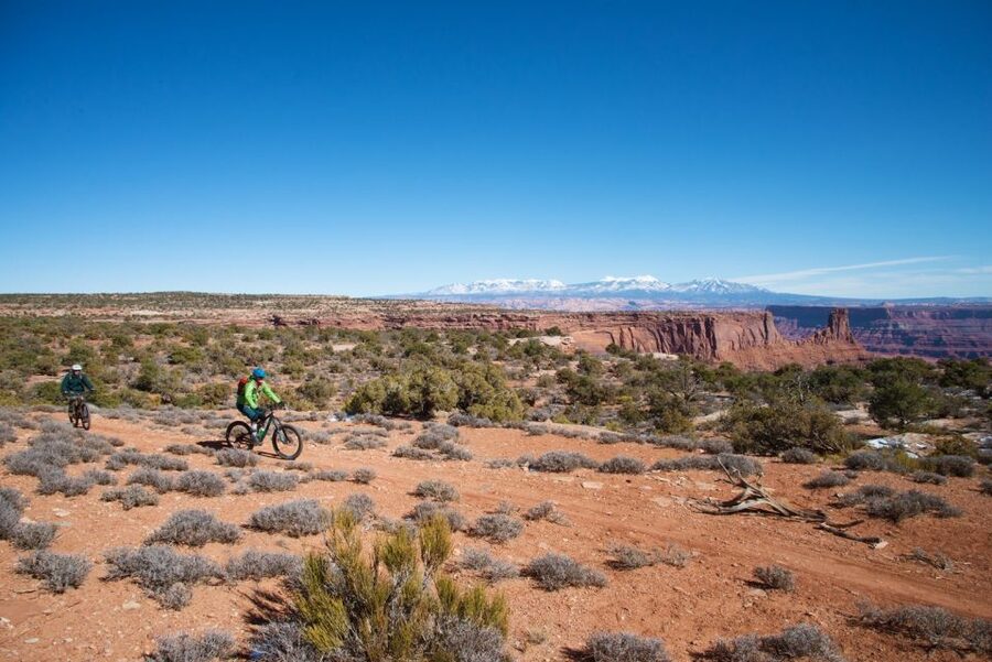 Moab: Dead Horse Point Singletrack Mountain Biking Tour - The full-day route, lunch, Twisted Tree, and Prickly Pear