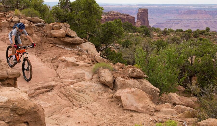 Moab: Dead Horse Point Singletrack Mountain Biking Tour - What the $155 price gets you