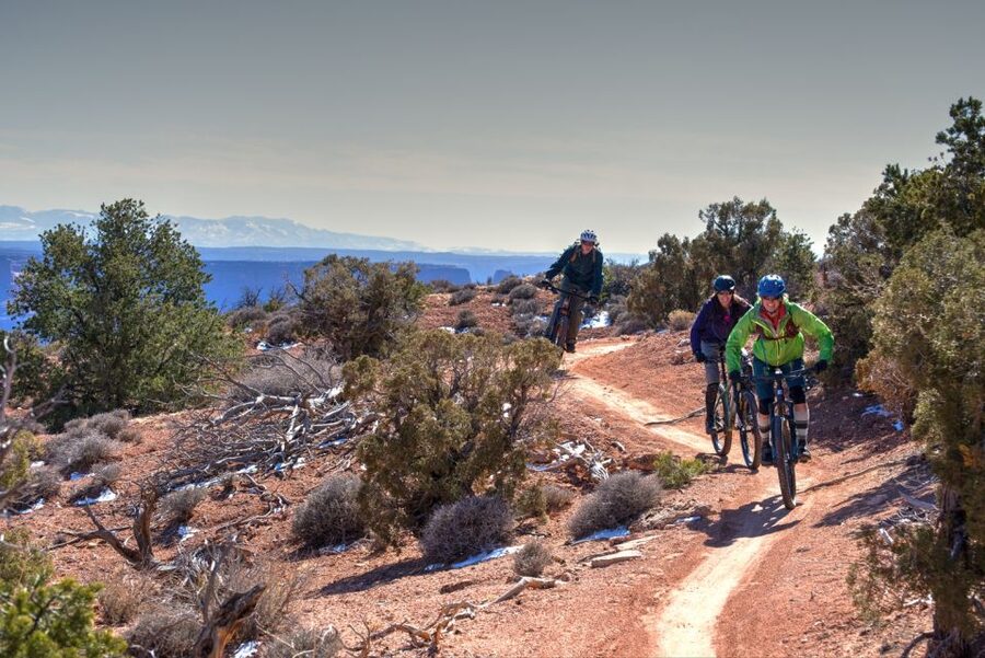 Moab: Dead Horse Point Singletrack Mountain Biking Tour - Who should book this ride