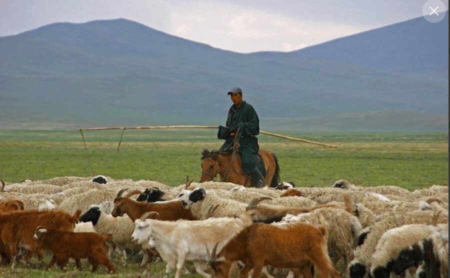 MONGOLIAN NOMADS: 2-Day Horse Trekking & Cow Milking Tour - Sleeping in a traditional ger