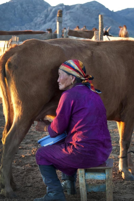 MONGOLIAN NOMADS: 2-Day Horse Trekking & Cow Milking Tour - Who will enjoy this, and who should skip it