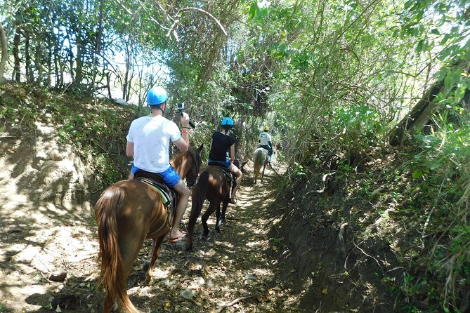 Monkey Encounter and Horse-Riding Tour in Puerto Plata - The monkey hour at Monkey Home Puerto Plata