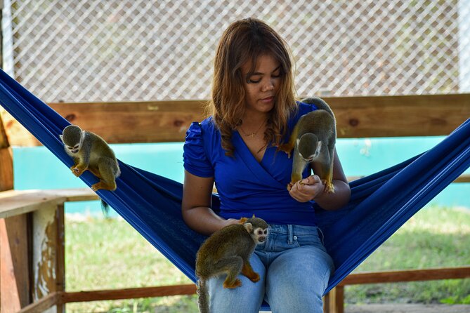 Monkey Encounter and Horse-Riding Tour in Puerto Plata - A real Dominican lunch, not just a snack