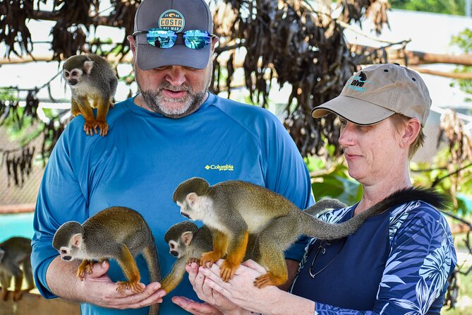 Monkey Encounter and Horse-Riding Tour in Puerto Plata - Who should book this Puerto Plata tour?