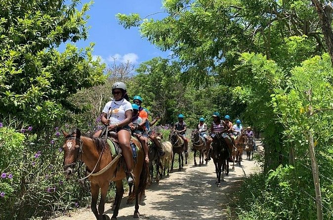 Monkey Encounter and Horse-Riding Tour in Puerto Plata - Practical details before you reserve