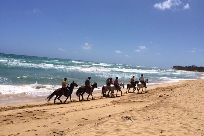 Montaña Redonda & Horseback Riding 2-in-1 Tour from Punta Cana - The ride along Playa Limón