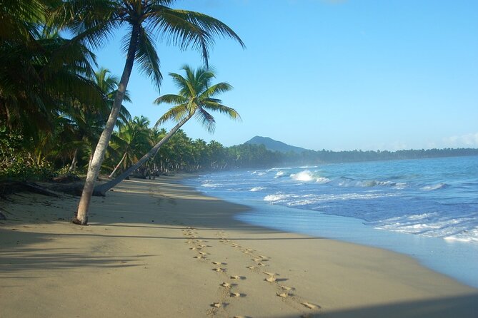 Montaña Redonda & Horseback Riding 2-in-1 Tour from Punta Cana - Timing, fitness, and the early start