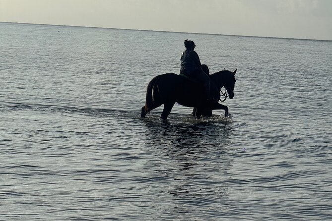 Montego Bay Beach Horseback Riding Tour - Is $80 Per Person Good Value?
