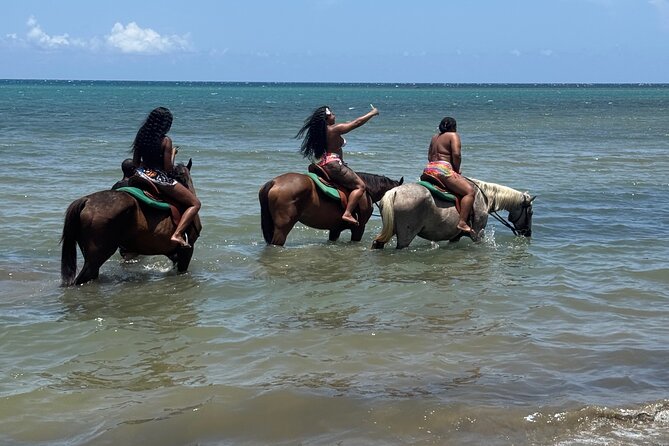 Montego Bay Beach Horseback Riding Tour - Who Will Enjoy This Ride Most?
