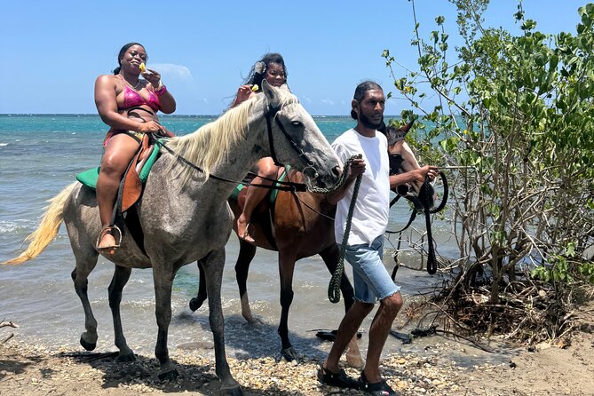 Montego Bay Beach Horseback Riding Tour - Making the Most of Your Beach Time