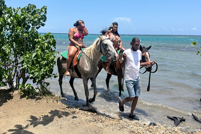 Montego Bay Beach Horseback Riding Tour - Getting Matched With the Right Horse