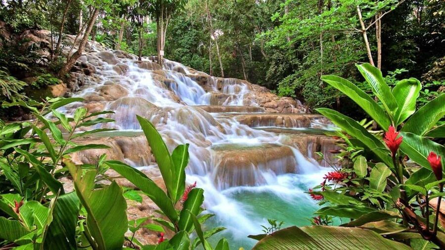 Montego Bay: Dunn's River Falls & Horseback Riding Adventure - Horseback riding through countryside and coast