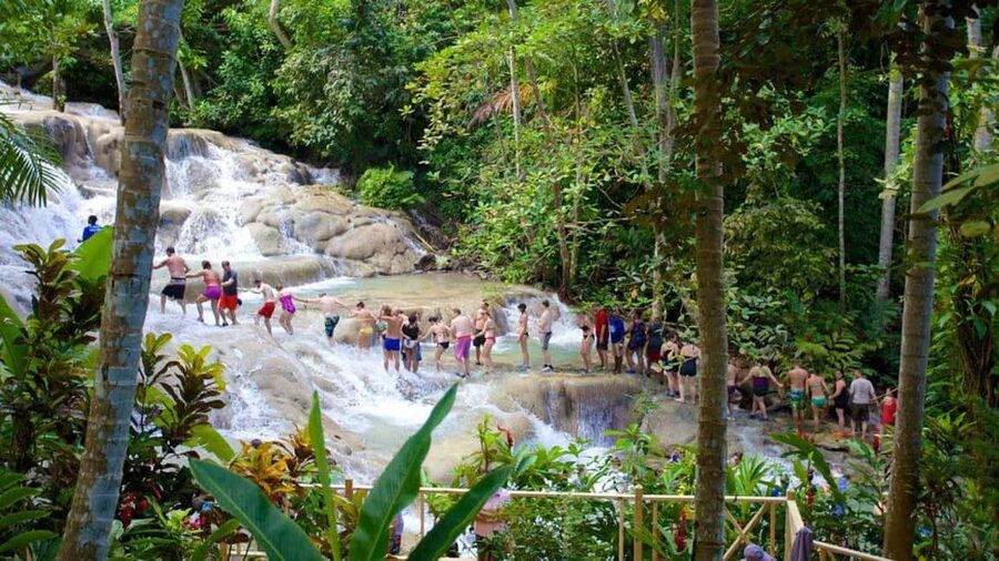 Montego Bay: Dunn's River Falls & Horseback Riding Adventure - What the guides add to the day