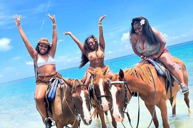 Montego bay horseback ride and swimming Adventure - Key points to know before booking
