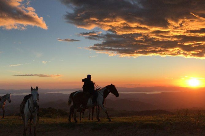 Monteverde Cloud Forest Horseback Riding - Key points to know before you book