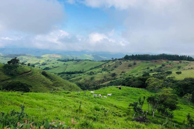 Monteverde Cloud Forest Horseback Riding - A horseback view of Monteverde beyond the trails