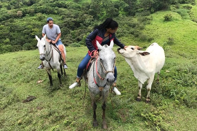 Monteverde Cloud Forest Horseback Riding - A private reserve with a family-farm feel