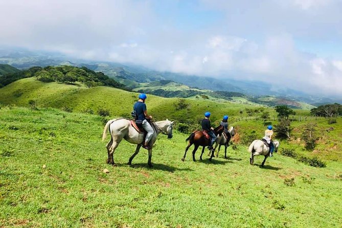 Monteverde Cloud Forest Horseback Riding - Choosing between the 8:00 am, 11:00 am, and 3:00 pm rides