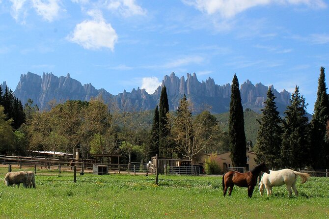 Montserrat Horseback Riding & Monastery – Small Group (Max 8) - The return to Barcelona and the practical tradeoffs