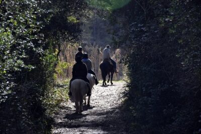 Montserrat Horseback Riding & Monastery – Small Group (Max 8)