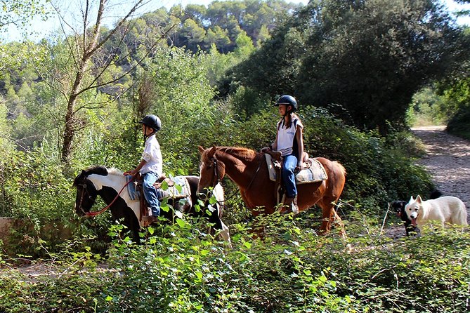 Montserrat Horseback Riding & Monastery – Small Group (Max 8) - Booking value, weather, and cancellation