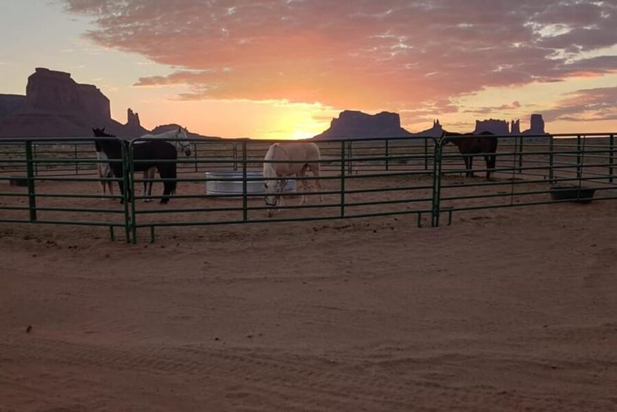 Monument Valley: Horseback Adventure Tour - Should you book it?