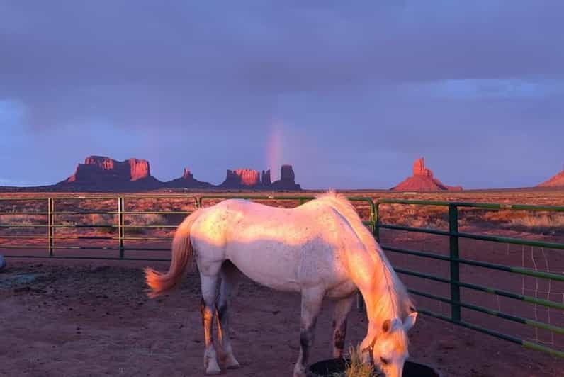 Monument Valley: Horseback Adventure Tour - Why horseback riding changes your view of Monument Valley