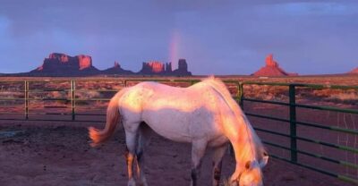 Monument Valley: Horseback Adventure Tour