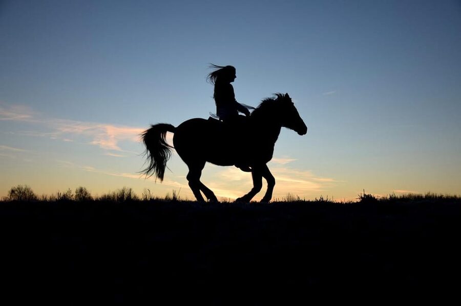 Monument Valley: Horseback Adventure Tour - Who should book this Monument Valley ride?