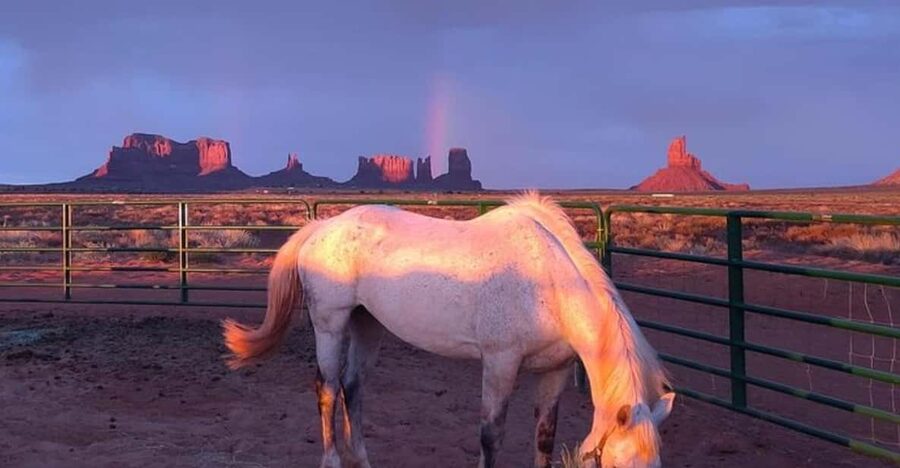 Monument Valley: Horseback Adventure Tour - Meeting the horses at D/D MTA Horse Tours