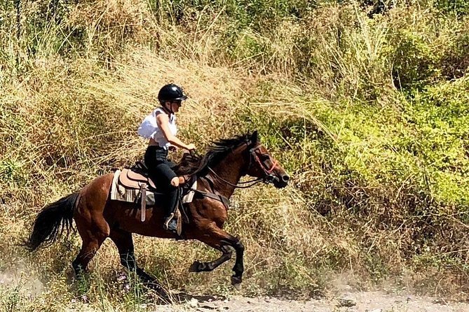 Mount Vesuvius Guided Horse Riding Tour with Sample Wine - Getting Ready for a First Horse Ride