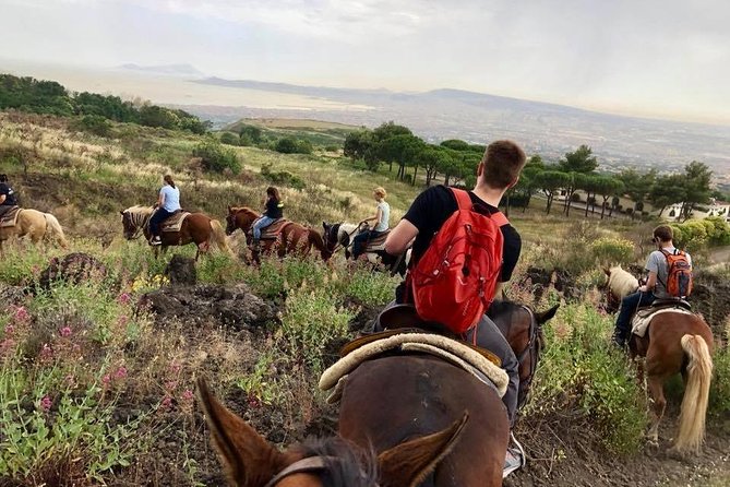 Mount Vesuvius Guided Horse Riding Tour with Sample Wine - Who Will Enjoy This Most?