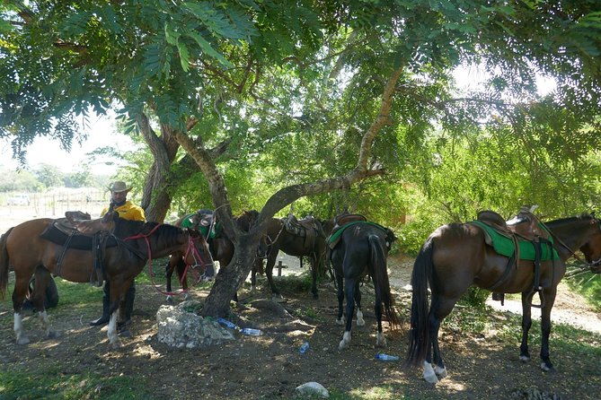 mountain horse back riding - The photo session and what it adds