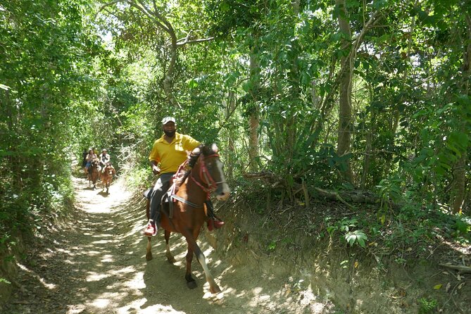 mountain horse back riding - Pickup, timing, and practical planning
