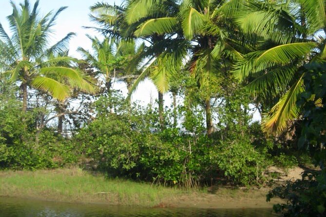 mountain horse back riding - Why the calm horses matter