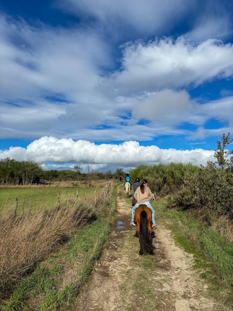 Mountain Horseback Ride & Lunch - What the $282 price gets you