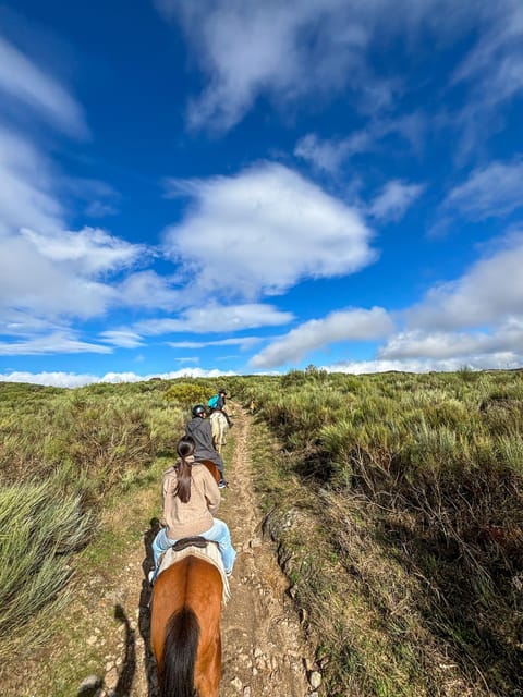 Mountain Horseback Ride & Lunch - Guides, languages, and the human factor