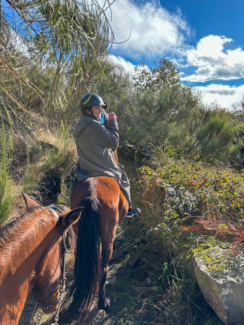 Mountain Horseback Ride & Lunch - Who will enjoy this day most