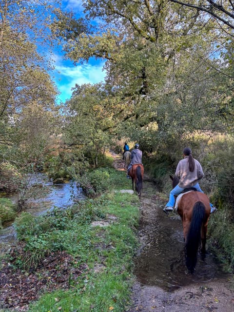 Mountain Horseback Ride & Lunch - Booking details worth checking