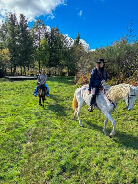 Mountain Horseback Ride & Lunch - The Douro countryside in summer and winter