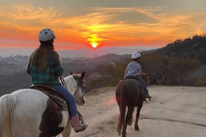 Mt. Hollywood Trail Tour on Horseback - Beginner-Friendly, With Real Riding Rules