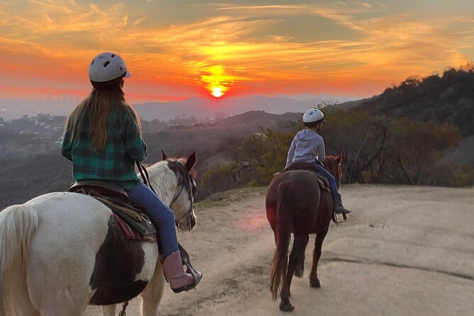 Mulholland Trail Horseback Tour - The Horses Make This Work for Beginners