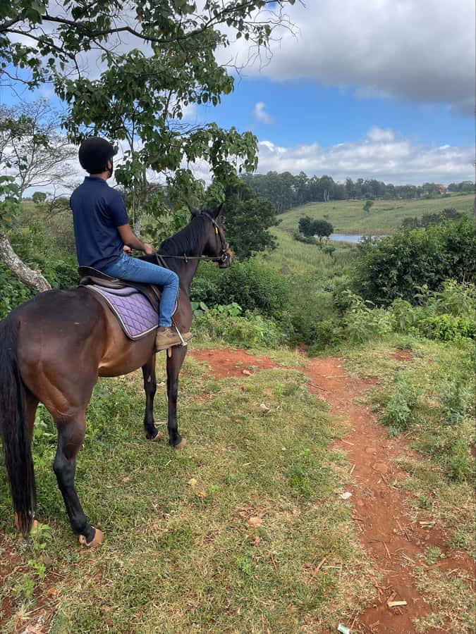 Nairobi: Horseback Riding Tour Through Maize Plantation - Key points to know before you book