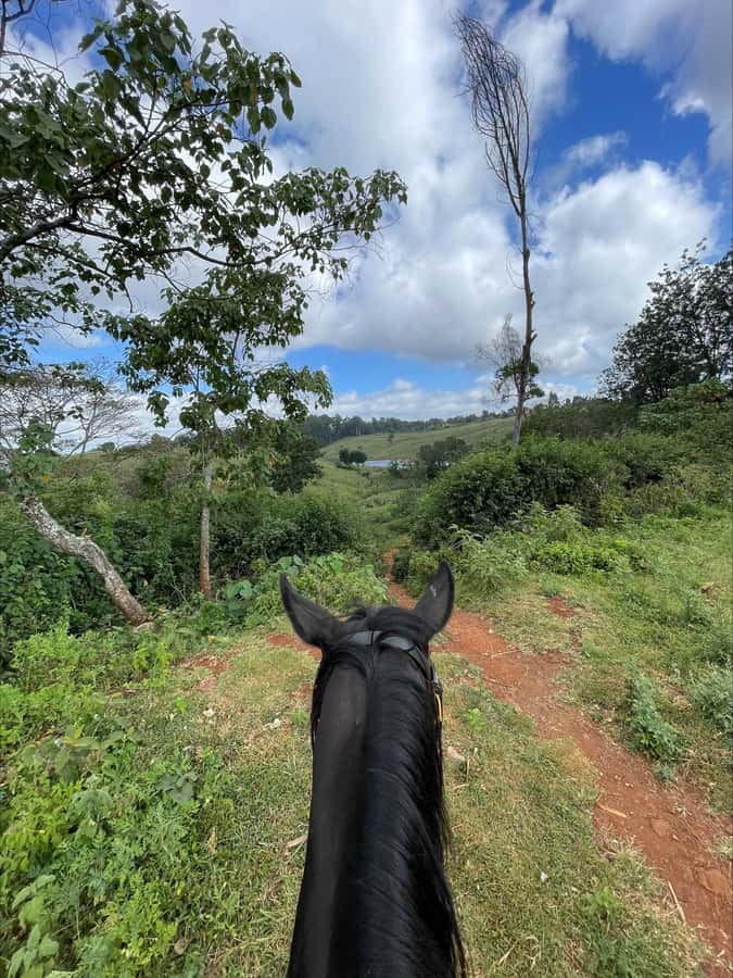 Nairobi: Horseback Riding Tour Through Maize Plantation - Meeting your horse at New Muthaiga stables