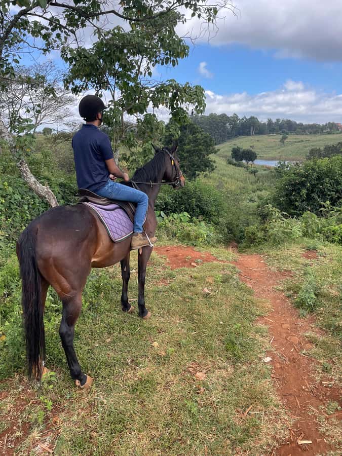 Nairobi: Karura Forest Horseback Riding Tour - The 90-minute forest route