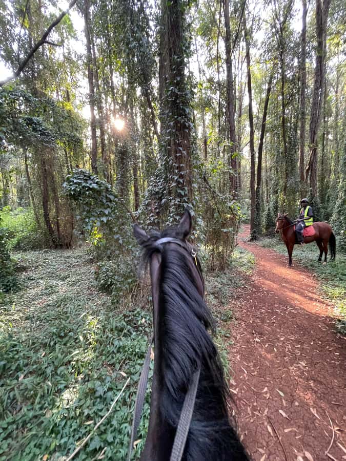 Nairobi: Karura Forest Horseback Riding Tour - Meeting your horse at Sigiria Gate
