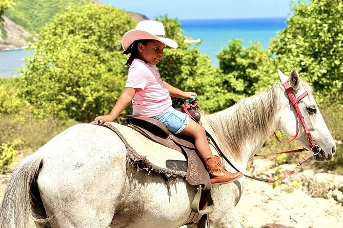Nature & Historical Horseback Riding Tours St. Lucia - From Cap Estate to St. Lucia’s east coast