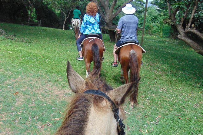Nature & Historical Horseback Riding Tours St. Lucia - Practical advice for clothing and comfort