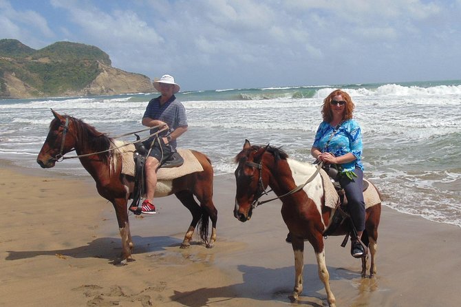 Nature & Historical Horseback Riding Tours St. Lucia - Who will enjoy this ride most